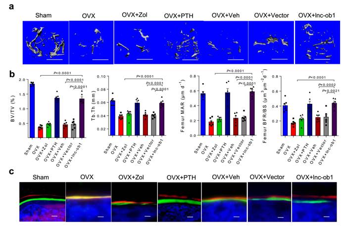 CC018056B61D0053228C92DDC22_773CDEF2_D339